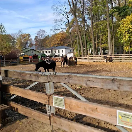 Mieszkanie Kuchnia Lejlighed