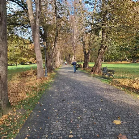 Lejlighed Mieszkanie Kuchnia *