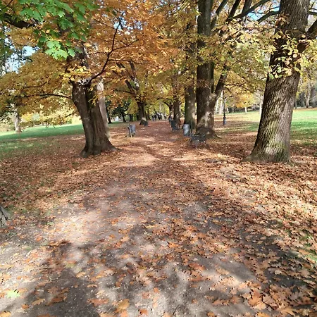 Mieszkanie Kuchnia Lejlighed *