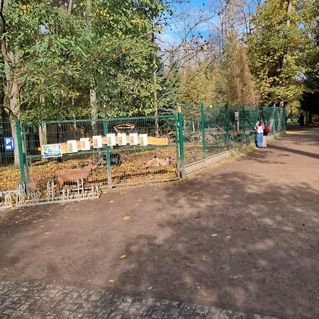 Mieszkanie Kuchnia *