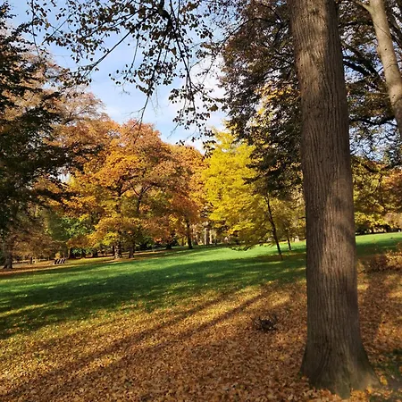 Mieszkanie Kuchnia Lejlighed