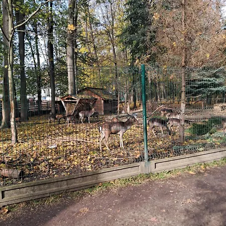 Mieszkanie Kuchnia * Zywiec