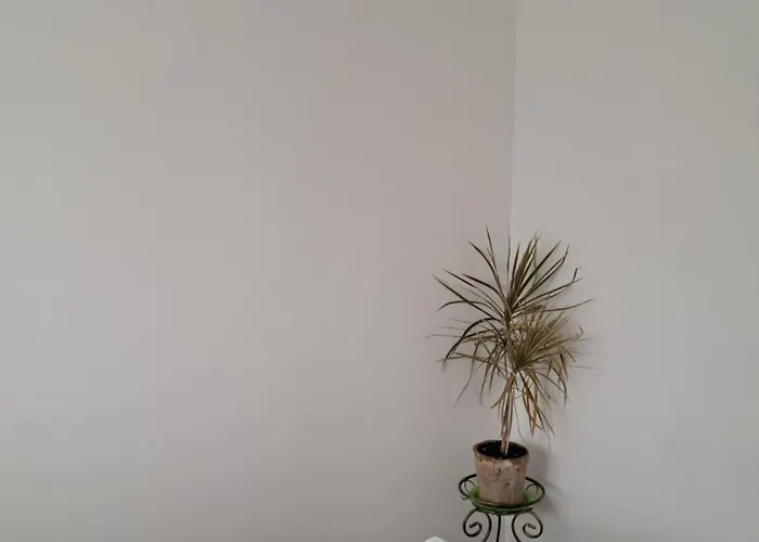 Mieszkanie Kuchnia *