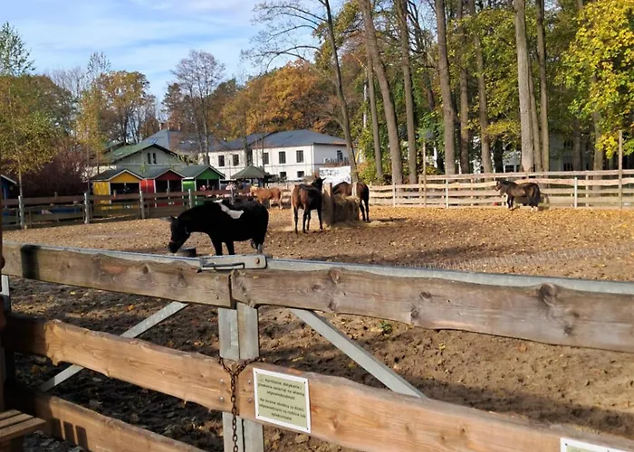 Mieszkanie Kuchnia דירה