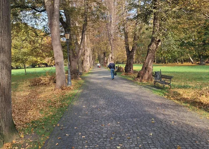 דירה Mieszkanie Kuchnia *