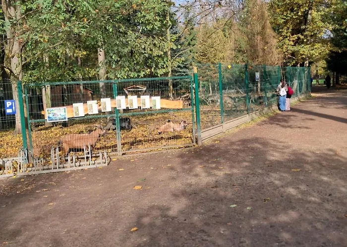 Mieszkanie Kuchnia *