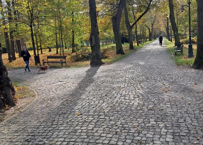 דירה Mieszkanie Kuchnia *