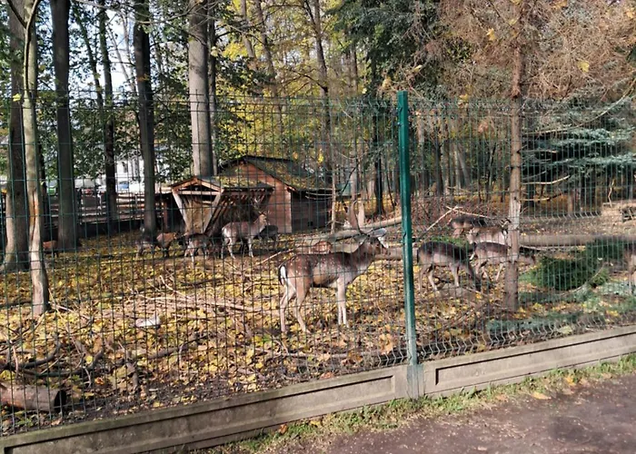 Mieszkanie Kuchnia * Żywiec